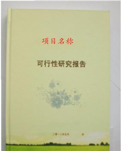 草莓视频18岁污代写公司.png